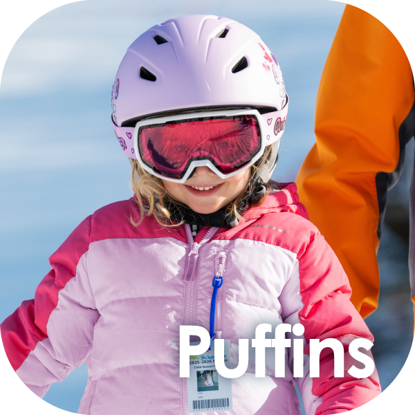 Puffins